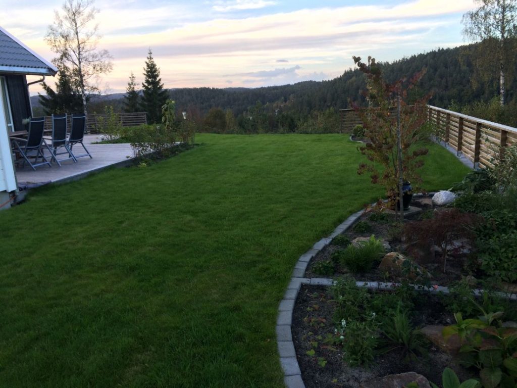 Hagen september 2016 grønn og i gang