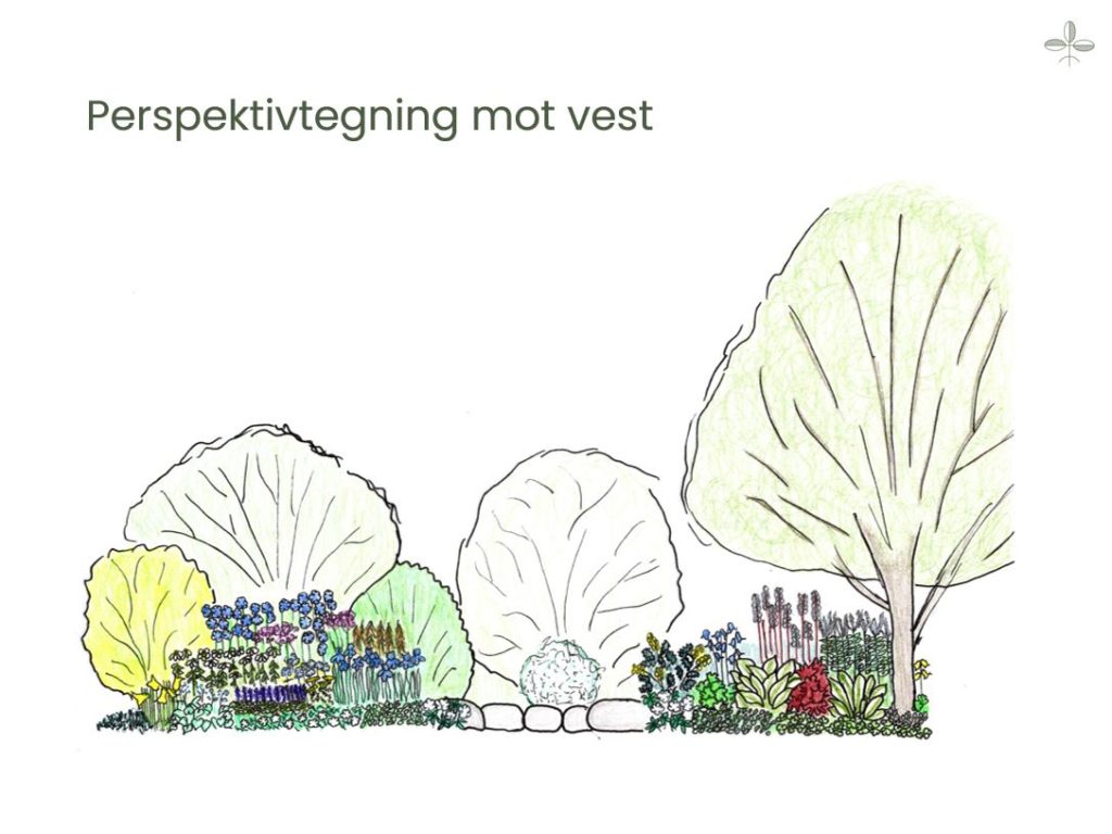 Perspektivtegning blomsterbed