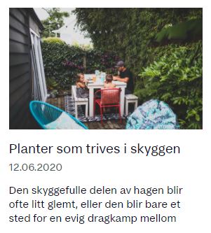 Planter som trives i skyggen, artikkel hos Huseieren med bidrag fra Fryd Hagedesign
