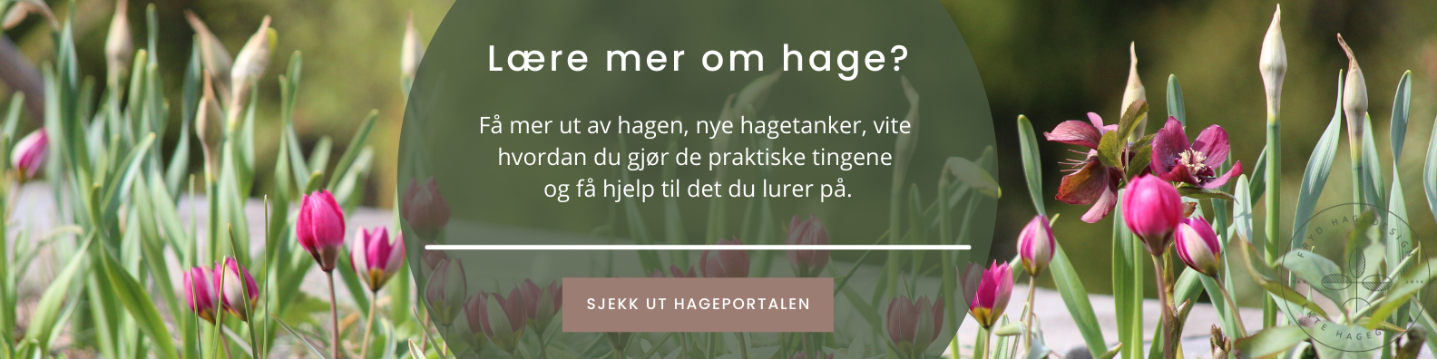 Lær mer om hagen i Hageportalen