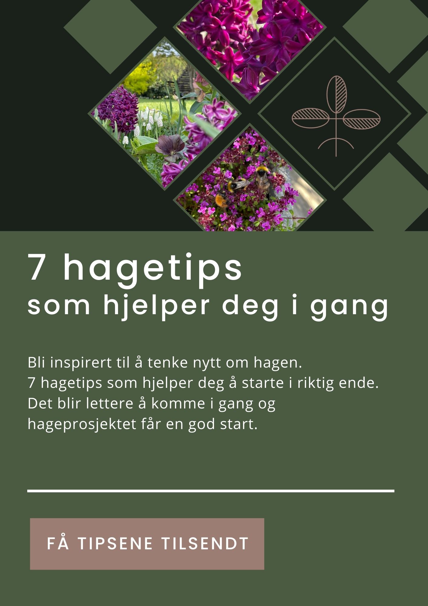 7 tips som hjelper deg i gang med hagen