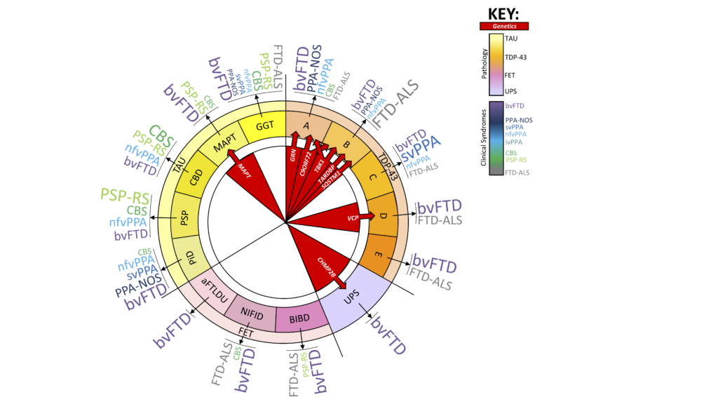 Swift_BiomarkerReview_JNNP_Fig1