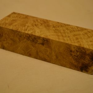 Black Locust Burl