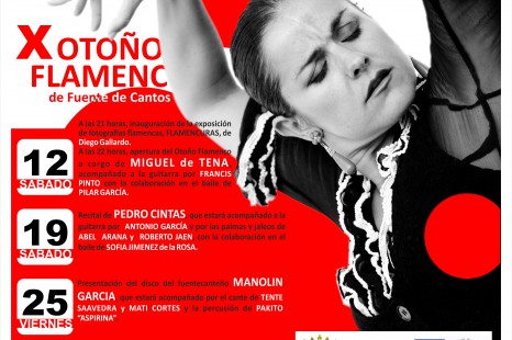 poster-flamenco-otono.jpg