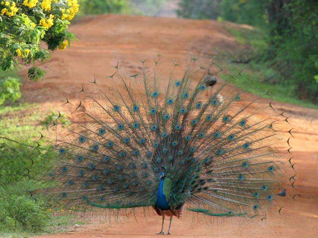 Read more about the article Betydningen af at se godt ud