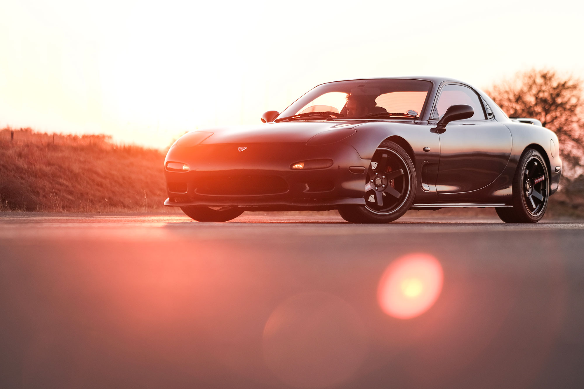 Premium/ The South African car scene