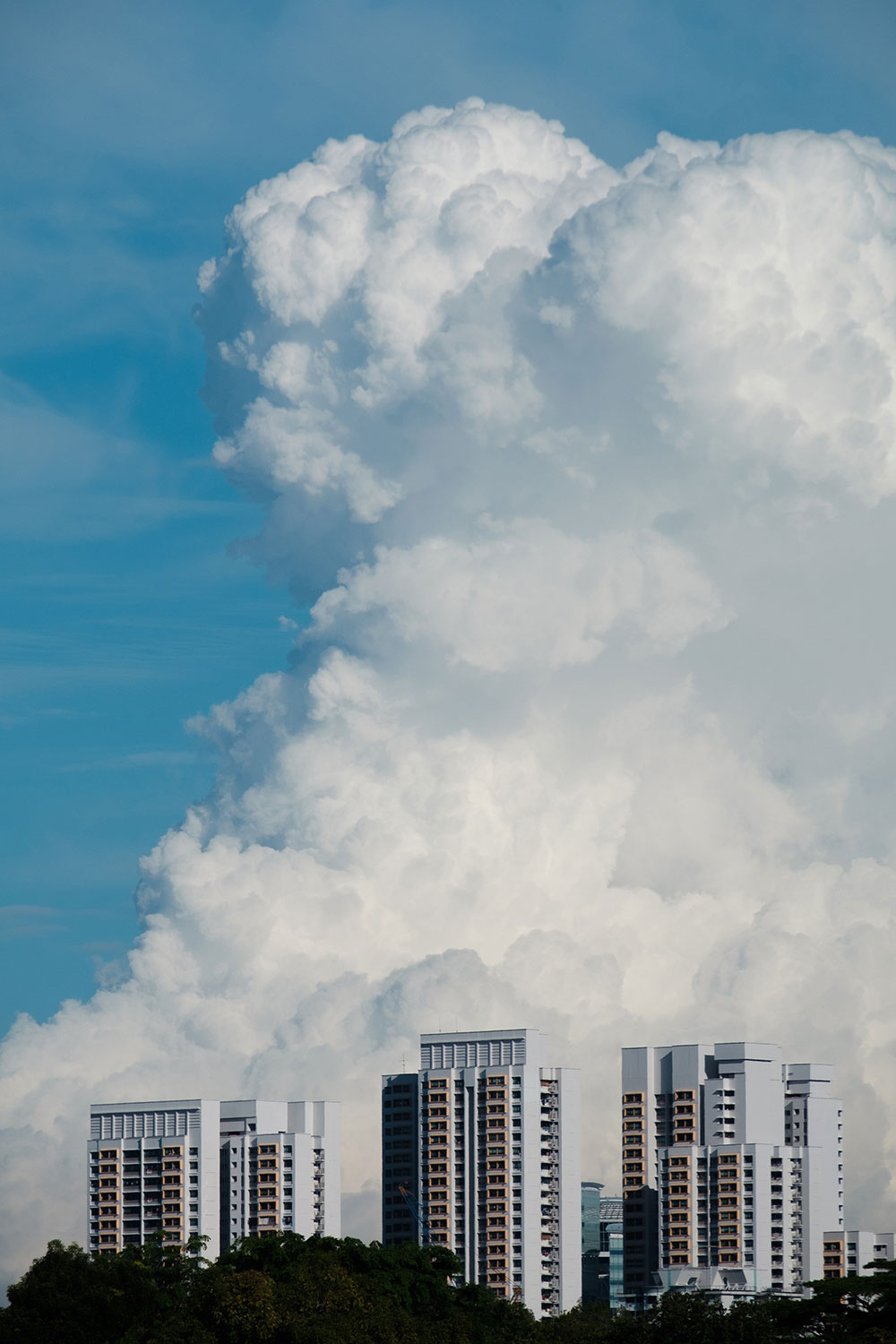 A wishlist for the X-E4 - Fuji X Passion A wishlist for the X-E4 - Fuji X Passion