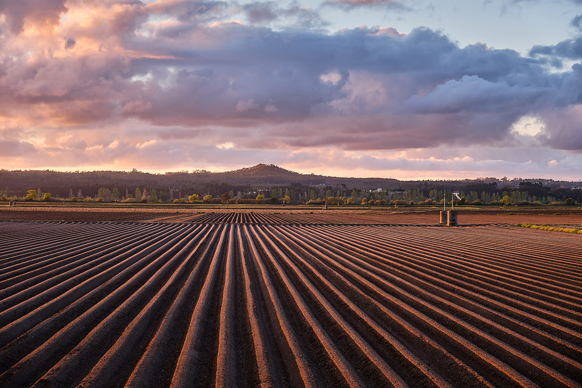 Premium/ Capturing the World: A Comprehensive Exploration of the