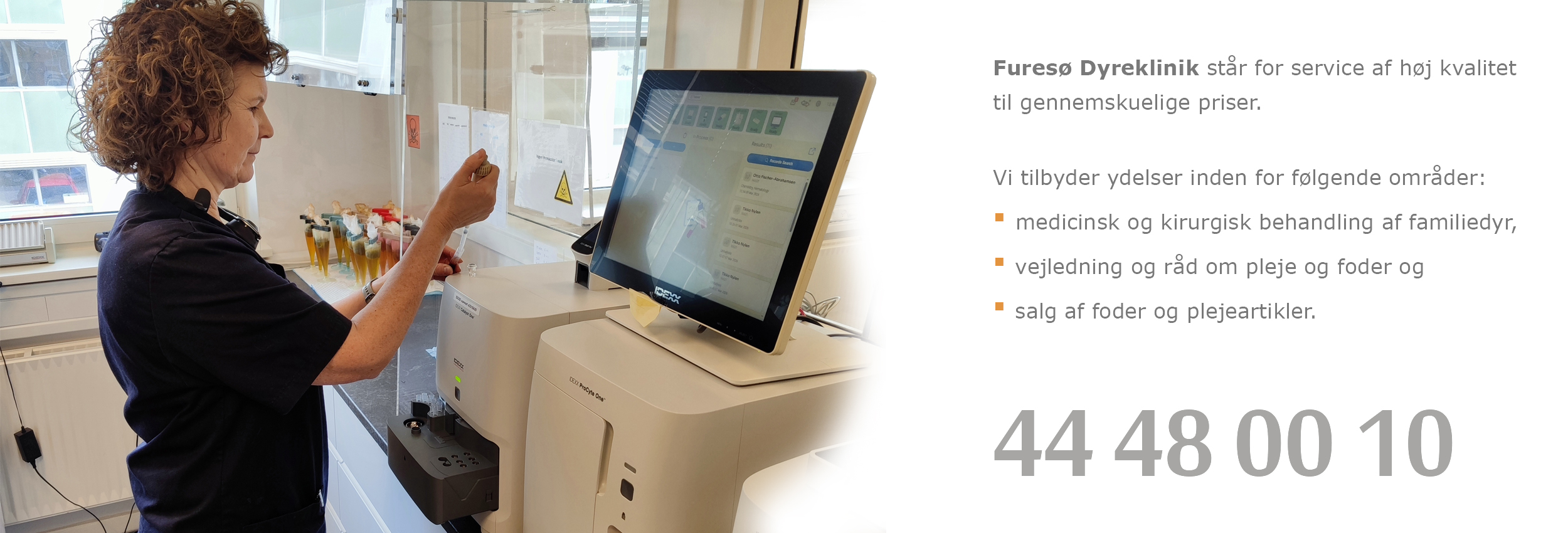 fd web 11