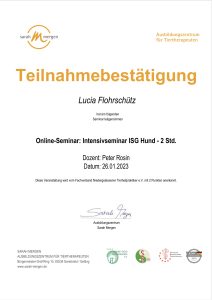 ISG Seminar