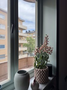 mint fönstermålning