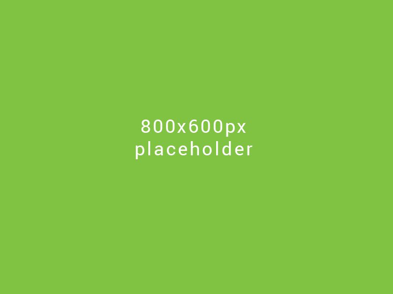 800x600px_placeholer