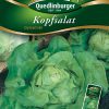 Kopfsalat-Dynamite-Gaertnerland-Quedlinburg