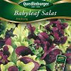 Salat-Mischung-Babyleaf-Gaertnerland-Quedlinburg