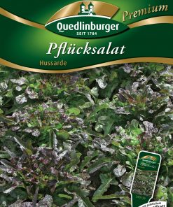 Pfluecksalat-Hussarde-Gaertnerland-Quedlinburg