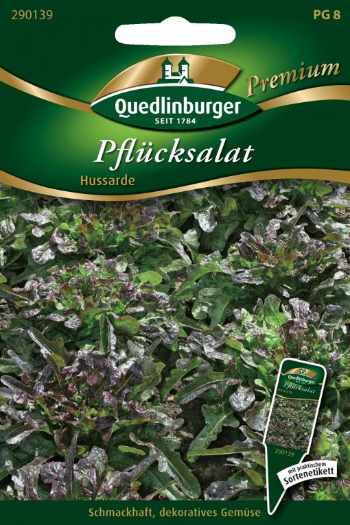 Pfluecksalat-Hussarde-Gaertnerland-Quedlinburg