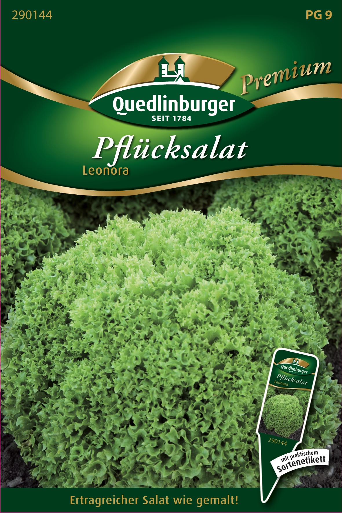 Pflücksalat "Leonora"