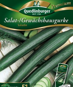 Salatgurke-Saladin-Gaertnerland-Quedlinburg