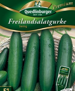 Freilandsalatgurken-Swing-Gaertnerland-Quedlinburg