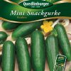 Mini-Snackgurke-Picolino-Gaertnerland-Quedlinburg
