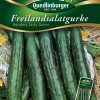 Freilandsalatgurke-Burpless-Tasty-Green-Gaertnerland-Quedlinburg