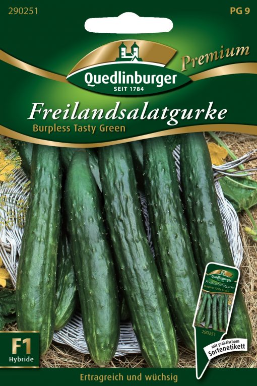 Freilandsalatgurke-Burpless-Tasty-Green-Gaertnerland-Quedlinburg