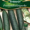 Freilandsalatgurke-Jazzer-Gaertnerland-Quedlinburg