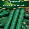 Gewaechshausgurke-Louisa-Gaertnerland-Quedlinburg