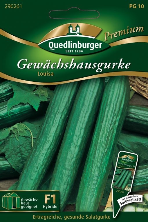 Gewaechshausgurke-Louisa-Gaertnerland-Quedlinburg