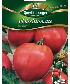 Tomate-Oxheart-Gaertnerland-Quedlinburg