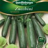 Zucchini-Terminator-Gaertnerland-Quedlinburg