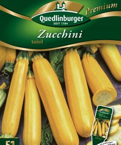 Zucchini-Soleil-Gaertnerland-Quedlinburg