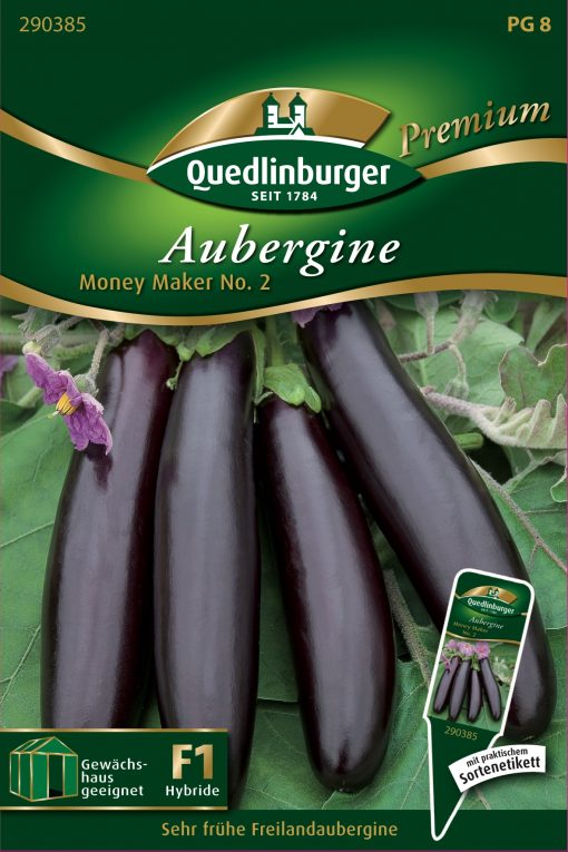 Aubergine-Money-Maker-2-Gaertnerland-Quedlinburg