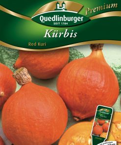 Kuerbis-Red-Kuri-Gaertnerland-Quedlinburg