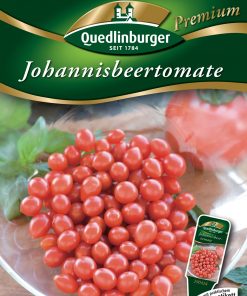 Johannisbeertomate-Gaertnerland-Quedlinburg