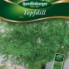 Topfdill-Ella-Gaertnerland-Quedlinburg