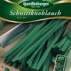Schnittknoblauch-Kiss-me-Gaertnerland-Quedlinburg