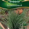 Schnittlauch-Polyvit-Gaertnerland-Quedlinburg