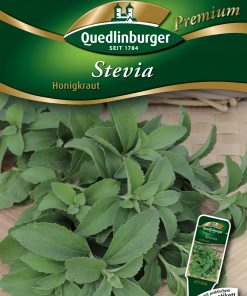 Stevia-Honigkraut-Gaertnerland-Quedlinburg