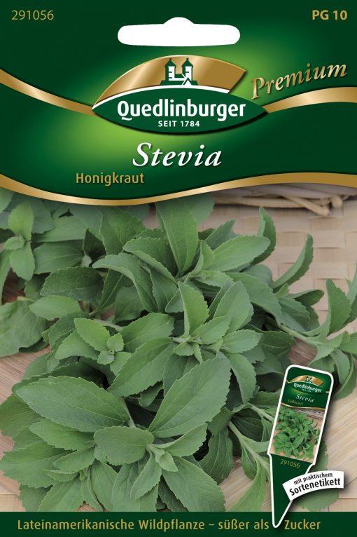 Stevia-Honigkraut-Gaertnerland-Quedlinburg