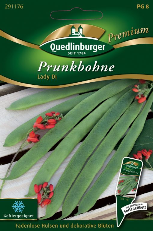 Prunkbohne-Lady-Di-Gaertnerland-Quedlinburg