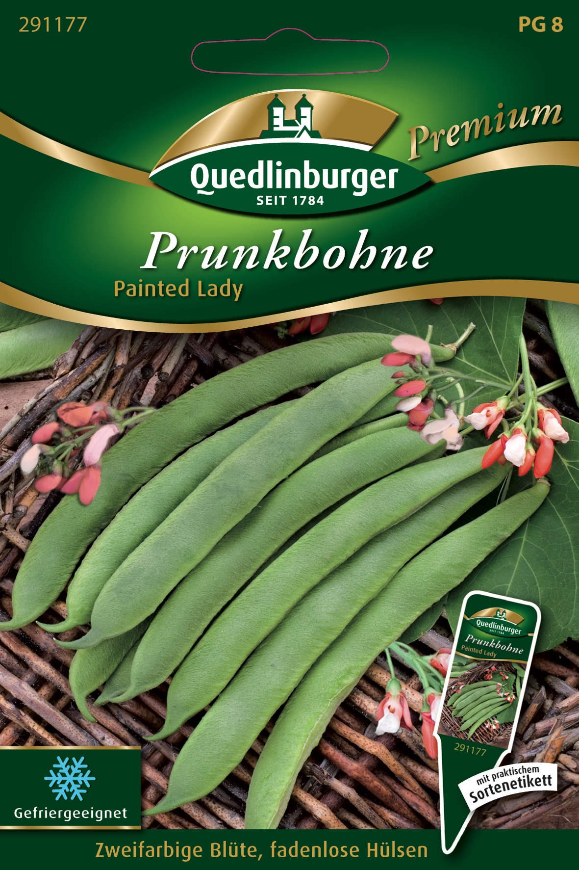 Prunkbohne-Painted-Lady-Gaertnerland -Quedlinburg