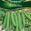 Markerbse-Costa-Gaertnerland-Quedlinburg