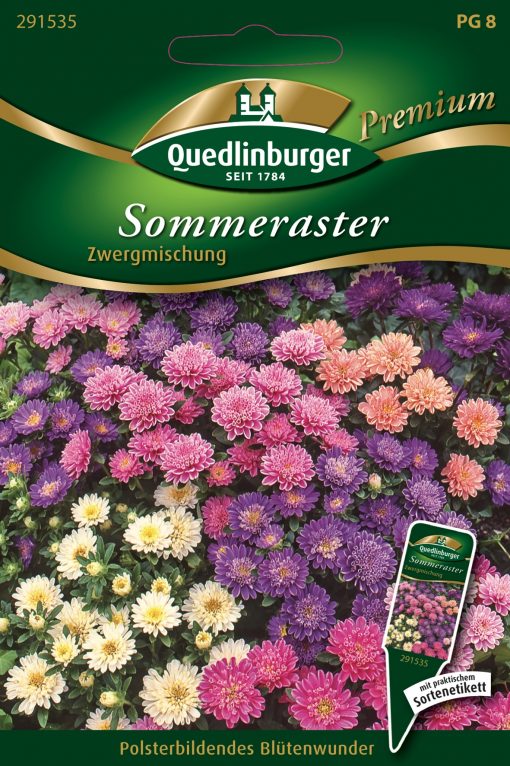 Sommeraster-Zwergmischung-Gaertnerland-Quedlinburg