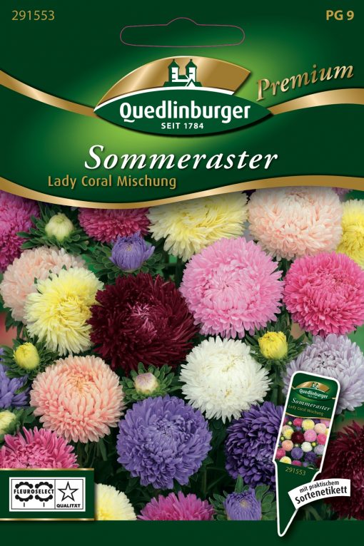 Sommeraster-Lady-Coral-Mischung-Gaertnerland-Quedlinburg