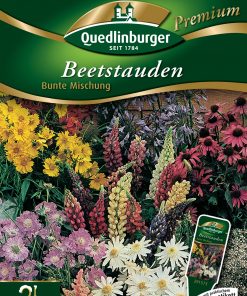 Beetstauden-Bunte-Mischung-Gaertnerland-Quedlinburg