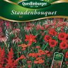 Staudenbouquet-rot-Gaertnerland-Quedlinburg