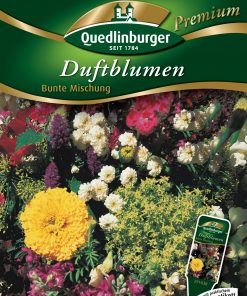 Duftblumenmischun-Bunte-Mischung-Gaertnerland-Quedlinburg