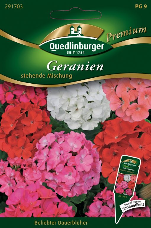 Geranien-stehende-Mischung-Gaertnerland-Quedlinburg