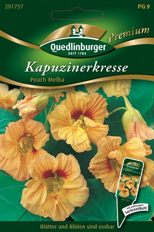 Kapuzinerkresse-Peach-Melba-Gaertnerland-Quedlinburg